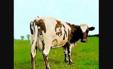 Pink Floyd – Atom Heart Mother (album)