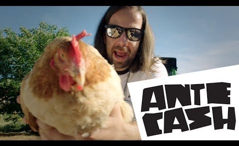 Powerplay 29.9. Ante Cash – Ante