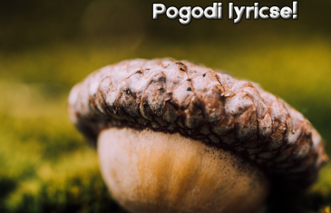 CMC kviz – Pogodi lyricse! pt.6