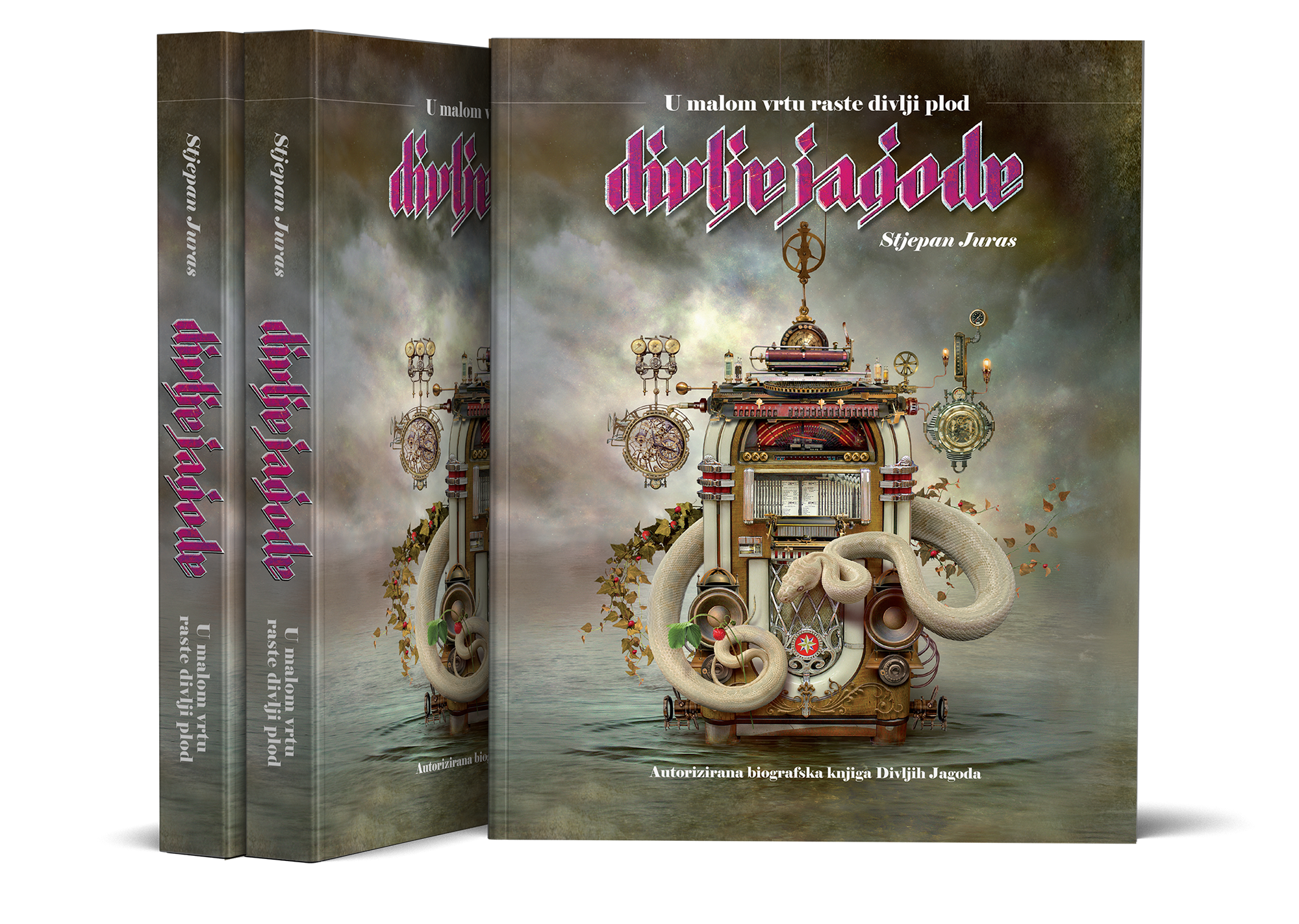 U prodaji prva autorizirana biografska knjiga Divljih jagoda