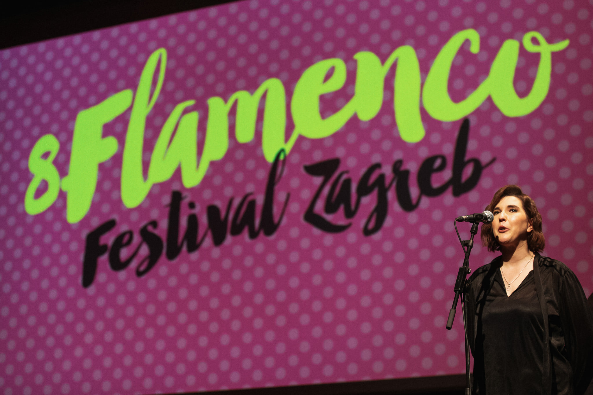 Koncertnom dvoranom Vatroslava Lisinskog odzvanjao zvuk flamenca