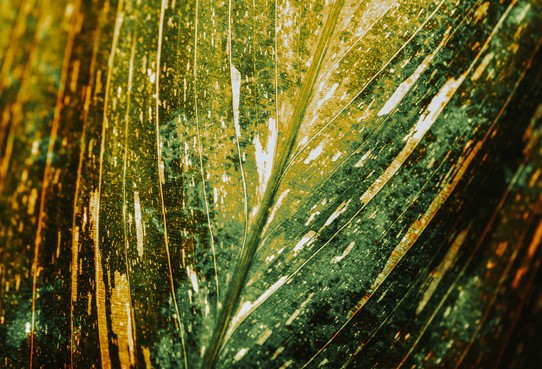 Izložba „Bioteksture“ Samira Cerića Kovačevića