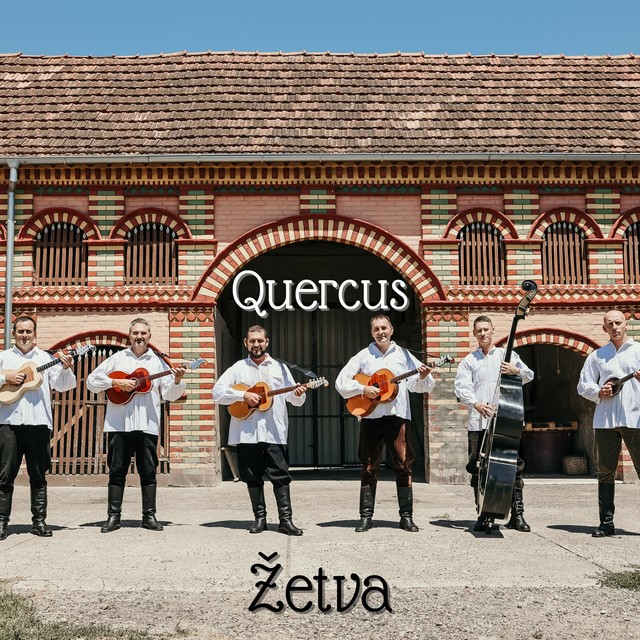 Quercus predstavlja novi singl Žetva Quercus predstavlja novi singl Žetva