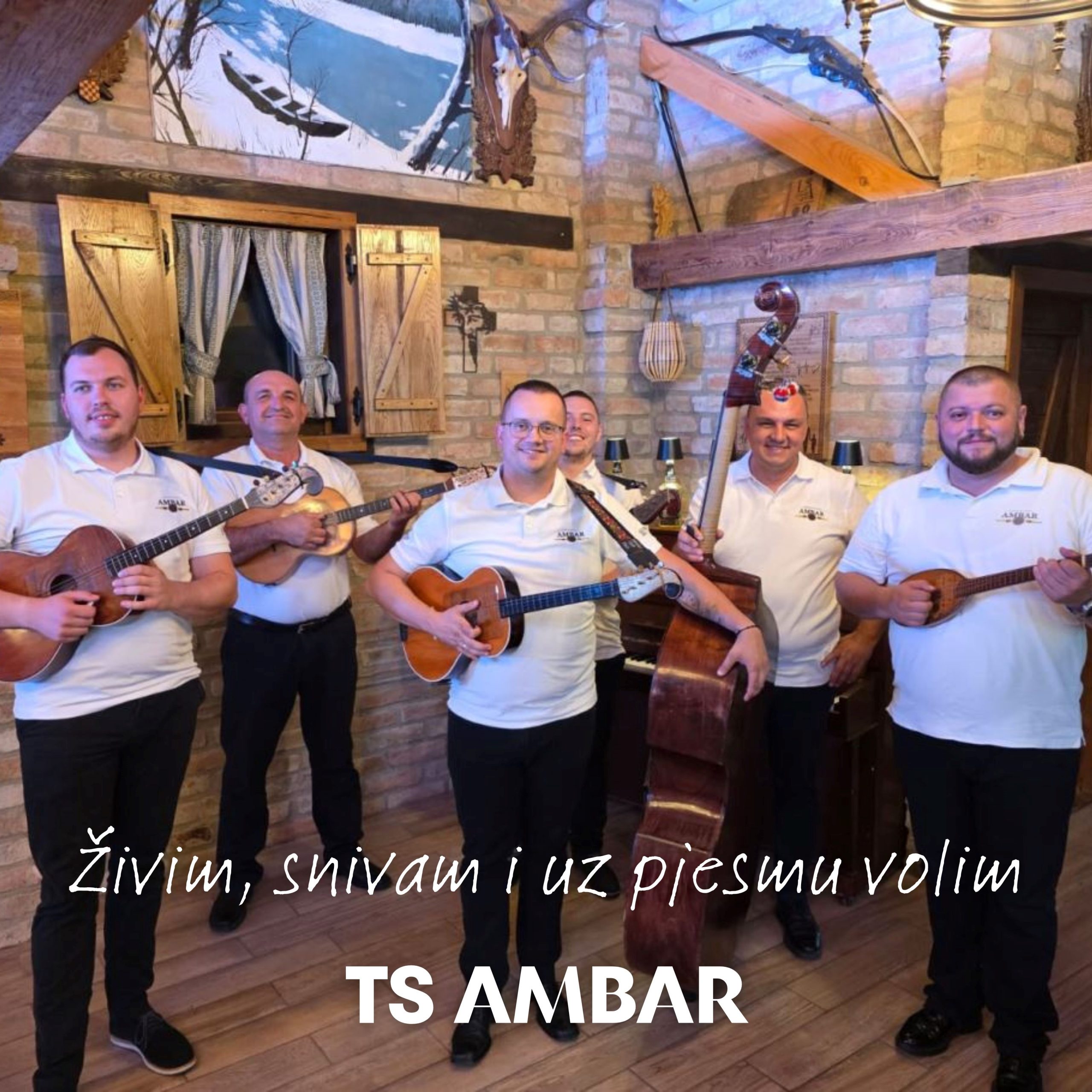 Živim, snivam i uz pjesmu volim novi je singl TS Ambara