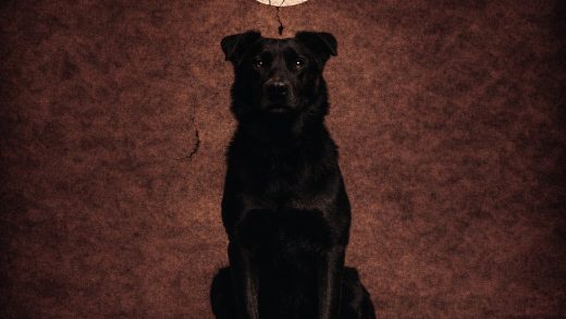 Crna GRupa predstavila novi album Arhitekti gluposti najavnim singlom Polako