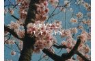 Orvel predstavlja novi singl i videospot Japan