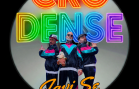 Cro Dense, novi projekt članova grupe Sane, predstavlja obradu dance hita Javi se